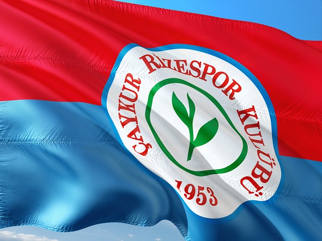 国家队新星 国家队新星