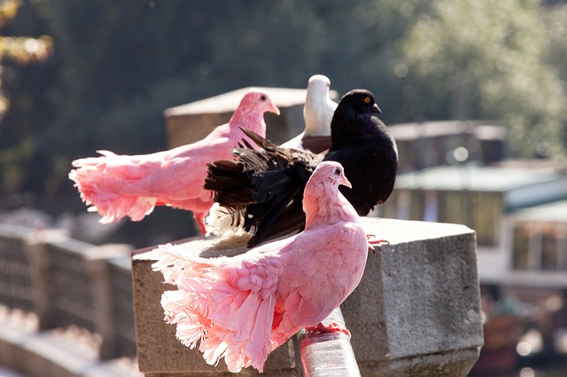 探讨这一话 探讨这一话