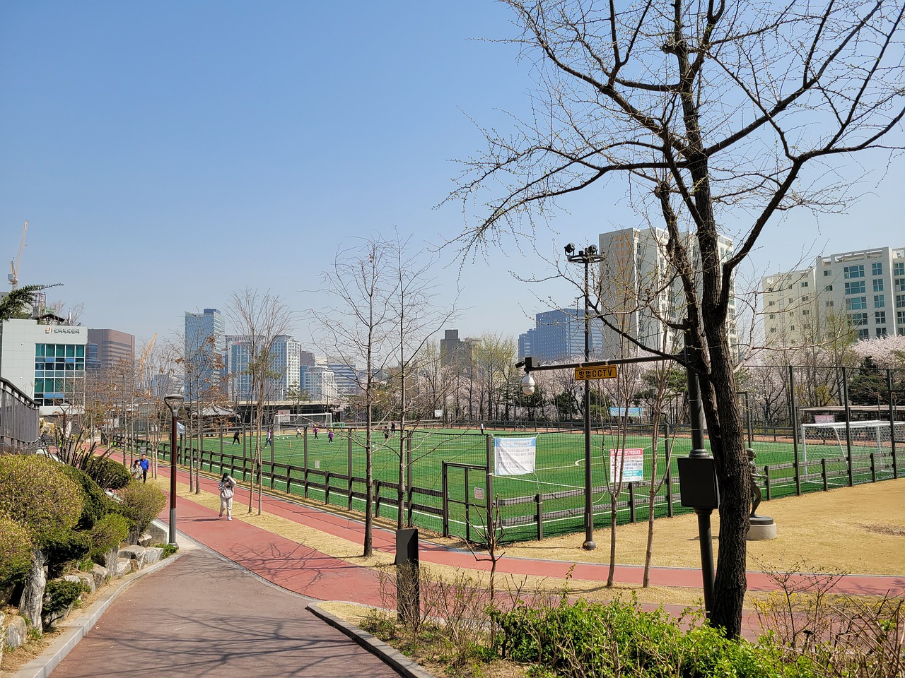 職業精神的 職業精神的