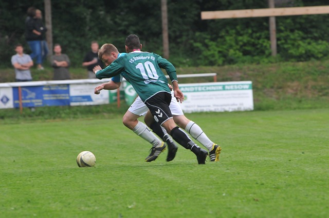 年代的荷兰 年代的荷兰