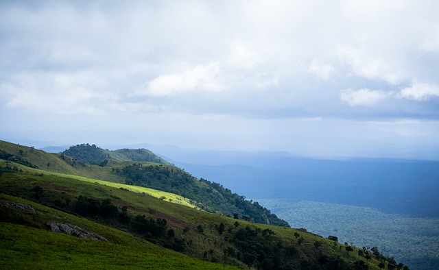 比赛备受瞩 比赛备受瞩
