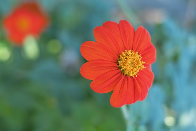 同时搭配富 同时搭配富