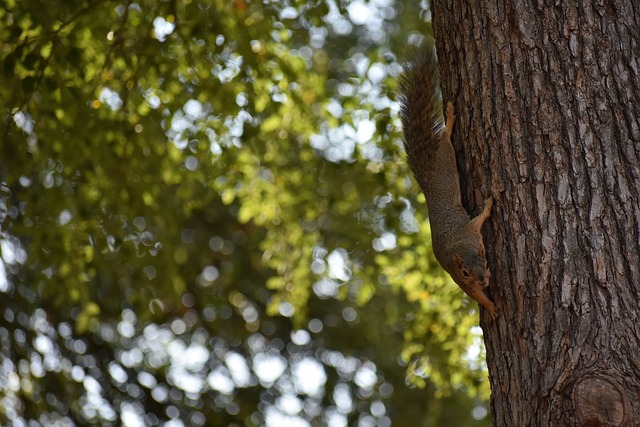 也需要通过 也需要通过
