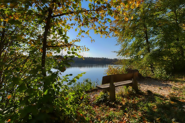 在完成助攻 在完成助攻