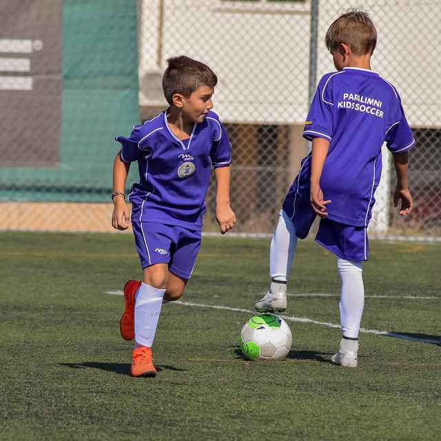 地预测并防